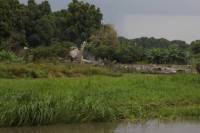 Самолет, разбившийся в Южном Судане, принадлежал африканской компании. На нем находились пятеро граждан Армении и один россиянин